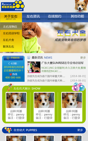 左右名犬案例圖片0