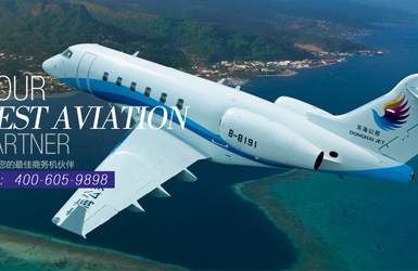 東海航空案例圖片