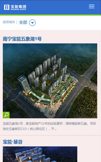 寶能集團(tuán)手機(jī)案例圖片2