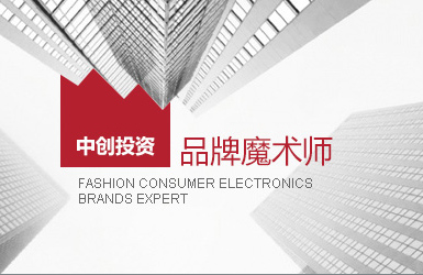 中創投資案例圖片