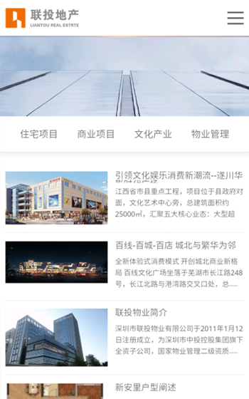 聯投地產官網案例圖片0