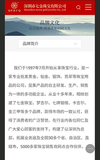 七金珠寶官網(wǎng)案例圖片2