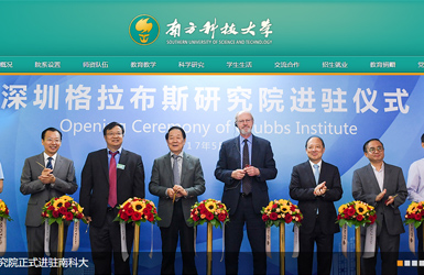 南方科技大學案例圖片