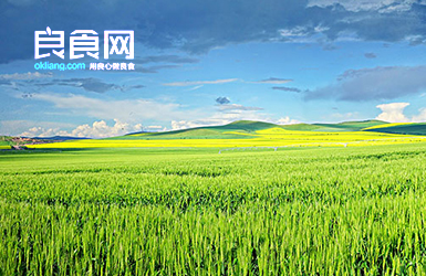 良食網案例圖片
