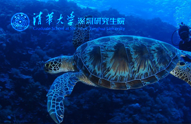 清華大學深圳研究生院案例圖片